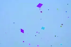 पांच किमी के दायरे में आज और कल चार घंटे नहीं उड़ा सकेंगे पतंगे, आदेश का उल्लंघन करने पर होगी सख्त कार्रवाई 