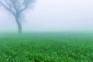 जयपुर सहित कई जिलों में छाए बादल : बढ़ा सर्दी का असर, 22 से हो सकती है बारिश