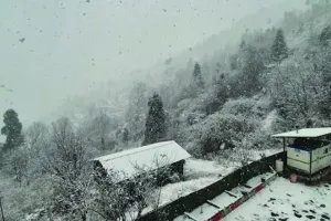 उत्तराखंड में बर्फबारी के चलते जनजीवन प्रभावित : टिहरी के घनसाली में एसडीआरएफ का त्वरित राहत कार्य, बर्फ में फंसे 8 लोगों को निकाला सुरक्षित