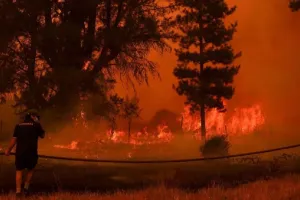 चिली के जंगलों में आग लगने से अब तक 18 लोगों की मौत, हजारों बेघर, इमरजेंसी घोषित