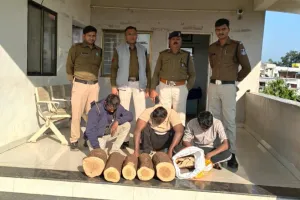आमला एयरफोर्स चंदन चोरी केस: पुलिस की बड़ी लापरवाही, कोर्ट ने गिरफ्तारी अवैधानिक मानकर किया रिहा