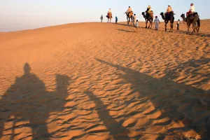 देश की राजधानी नई दिल्ली में इस वर्ष राजस्थान  स्थापना का भव्य आयोजन 15 मार्च को आयोजित किया जाएगा