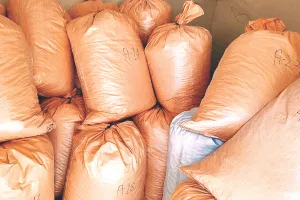 चने की बोरियों की बीच छिपाकर ट्रेलर में ले जाया जा रहा 560 किलो डोडा छिलका जब्त, दो तस्कर गिरफ़्तार