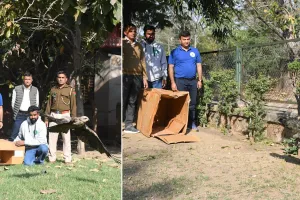 वन विभाग, टीम रक्षा एवं एच जी फाउंडेशन के संयुक्त तत्वावधान से परिया चील तथा नर मोर का सफलतापूर्वक पुनर्वास, जयपुर जू परिसर में किया रिलीज़ 