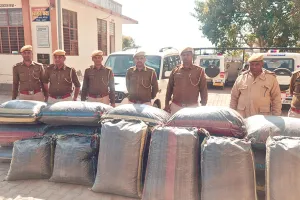 कोटा में स्कॉर्पियो से 442 किलो डोडा पोस्त की खेप पकड़ी, फायरिंग कर भागे मादक पदार्थ तस्कर 