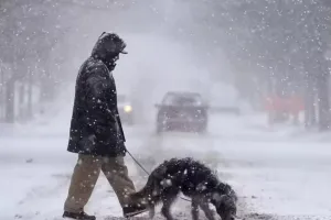 न्यूयॉर्क शहर में ठंड का कहर, 14 लोगों की मौत, बर्फबारी से सड़कें और फुटपाथ मलबे में तब्दील 
