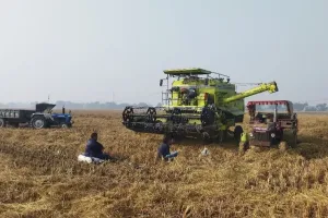 बजट में ‘धुरंधर’ खेत खलिहान: औषधीय खेती करने वाले किसान, हर वर्ग के लिए लक्षित योजनाएं तैयार की, किसानों को एआई से मिलेगी नई ताकत