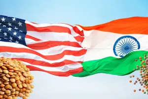 भारत-अमेरिका ट्रेड डील के बाद सस्ती होगी अमेरिकी दाल? कीमतों पर पड़ेगा बड़ा असर