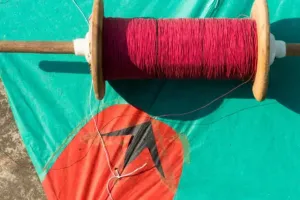 जिंदगी की डोर को काट रहा पतंग का मांझा : कई राज्यों में बैन, फिर भी बिक रहा उड़ता हथियार