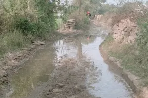 सिंचाई के दौरान खेतों के रास्ते में भरा पानी, किसानों को हो रही परेशानी