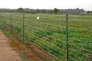 असर खबर का - राहत: अब 7 किसानों का समूह भी होगा लाभांवित,नियम बदलने से आवेदनों की बढ़ेगी संख्या