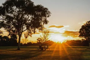 प्रदेश में सर्दी का असर खत्म : गर्मी ने दी दस्तक, पारा 35 डिग्री पार पहुंचा