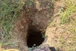 खुले बोरवैल/कुओं पर सख्ती : सुप्रीम कोर्ट के निर्देशों के बाद विभाग सक्रिय, 3 साल में 49,275 ढकवाए