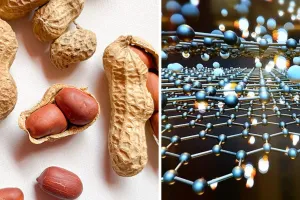 ऑस्ट्रेलियाई शोधकर्ताओं ने बनाया मूंगफली के छिलकों से ग्राफीन: बदल सकती है इलेक्ट्रॉनिक्स की दुनिया, ऊर्जा उपकरणों के लिए मूल्यवान घटक