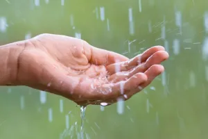 Weather Update : जयपुर, टोंक में सुबह हुई बारिश, मौसम में फिर घुली ठंडक