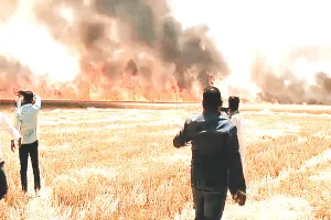 खेतों में भड़की आग : 100 बीघा गेहूं की फसल जलकर राख, किसानों को लाखों के नुकसान