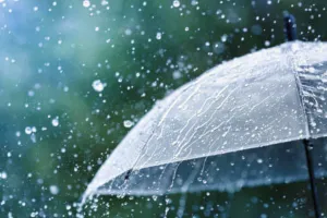 Weather Update : बारिश के कारण गिरा पारा, हवा में घुली ठंडक, जानें आने वाले दिनों में कैसा रहेगा मौसम