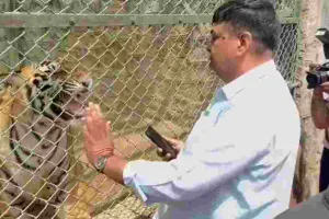 वन मंत्री ने नाहरगढ बायोलॉजिकल पार्क का किया दौरा : रानी के पाँचों शावकों का किया नामकरण, भालू के जोड़े को भी छोड़ा डिस्प्ले एनक्लोजर में