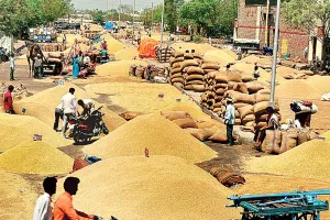 असर खबर का.... मिली सौगात: भामाशाह मंडी विस्तार का रास्ता हुआ साफ, 96 हैक्टेयर में विस्तार को राष्ट्रीय वन्यजीव बोर्ड की मंजूरी