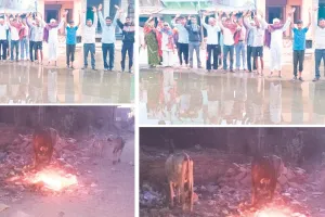 बांसी में एक पखवाड़े से सफाई व्यवस्था ठप : बिगड़े हालात, नालियां जाम, सड़कों पर फैल रही गंदगी