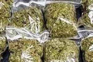 भीलवाड़ा पुलिस को मिली बड़ी कामयाबी: अवैध गांजे की बरामदगी के मामले में मुख्य आरोपी गिरफ्तार, पूछताछ जारी