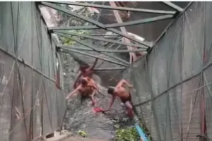 दिल्ली में भीषण हादसा: लोहे का पुल टूटने से नाले में गिरी महिला की मौके पर मौत, बचाव और राहत कार्य जारी