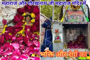 जयपुर: गोगाजी महाराज और गौरखनाथ जी महाराज मंदिर में फागोत्सव की रंगारंग धूम