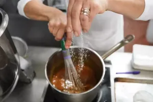 सीईईडब्ल्यू रिपोर्ट में खुलासा: स्वच्छ ऊर्जा की नई लहर, दिल्ली और तमिलनाडु में 17% घरों में ई-कुकिंग