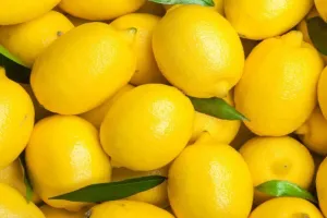 जयपुर में नींबू के दाम आसमान पर : थोक ₹90-120, खुदरा ₹200-400 प्रति किलो