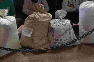 ऑपरेशन क्लीन स्वीप के तहत बड़ी कार्रवाई : 29.850 किलो डोडा चूरा बरामद, 3 ड्रग तस्कर गिरफ्तार 