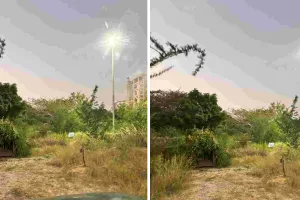 पामकोर्ट कॉलोनी में लेपर्ड का खौफ बरकरार : वन विभाग अलर्ट पर, लगातार जारी मॉनिटरिंग