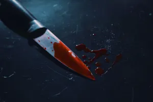 प्रेमिका ने लिव-इन-पार्टनर को घोंपा चाकू, इंस्टाग्राम पर हुई थी दोनों की दोस्ती 