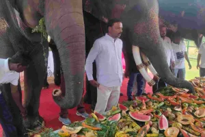 हाथी गांव में हाथियों ने मनाया अनंत अंबानी का जन्मदिन : महावतों का हुआ सम्मान, पशु प्रेम का दिखा खास संदेश