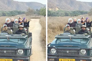 झालाना में ‘ड्राइवर ऑफ  द मंथ’ से नवाजे जाएंगे जिप्सी चालक : सहयोग और सुरक्षित ड्राइविंग के आधार पर किया जाएगा सम्मानित, पर्यटक देंगे रेटिंग