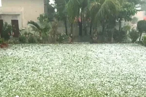 प्रदेश में बदला मौसम : कई जिलों में गिरे ओले, बारिश के कारण फसलों को नुकसान