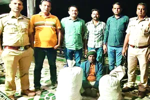 ऑपरेशन गांजाजुली : एएनटीएफ ने 7 तस्करों को किया गिरफ्तार, 10 करोड़ रुपए की अवैध फसल की नष्ट