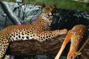 हाइटेक हुआ झालाना का इंटरप्रिटेशन सेंटर : एक क्लिक में मिलेगी लेपर्ड्स की पूरी दुनिया की जानकारी, प्रदेश में अपनी तरह का होगा पहला आधुनिक सेंटर