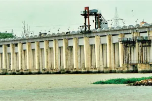 असर खबर का  : चंबल के बूढ़े बांधों को अब मिलेगी संजीवनी, जीर्णोद्धार पर 225 करोड़ रुपए की आएगी लागत