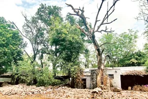 असर खबर का : एमबीएस अस्पताल में नशेड़ियों के अड्डे बने 17 खंडहर क्वार्टर ढहाने का काम शुरू, 14 जमींदोज