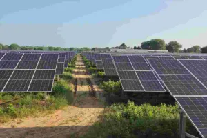 पीएम-कुसुम योजना में राजस्थान ने छुआ 4 हजार मेगावाट का आंकड़ा, 2.62 लाख किसानों को दिन में बिजली 