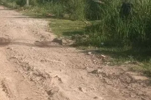 असर खबर का : मांगली नदी पम्प हाउस पर ओवरफ्लो से व्यर्थ बहता पानी रोका