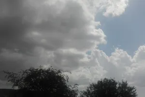 Weather Update : जयपुर सहित कई जिलों में आंधी-बारिश के आसार, जानें आने वाले दिनों में कैसा रहेगा मौसम
