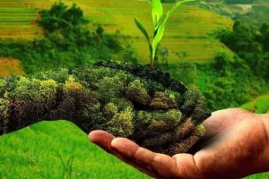 प्राकृतिक खेती से बेहतर होगी धरती की सेहत