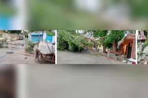 कोटा में बवंडर के साथ सैकड़ों खंभे, पेड और होर्डिंग उड़े