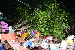 जयपुर में तूफानी बारिश : 80 किमी प्रति घंटे की रफ्तार से चली हवा, बिजली के पोल और पेड़ गिरे; तापमान गिरने मिली तेज गर्मी से राहत