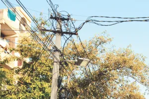 बिजली के तारों पर झूल रहे पेड़, हर समय हादसों का अंदेशा