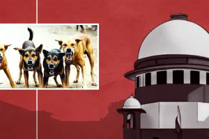 आवारा कुत्तों से जुड़ा मामला : सुप्रीम कोर्ट का पुराने आदेश में संशोधन से इंकार, एनजीओ की याचिका खारिज