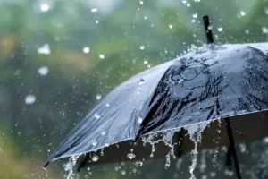मानसून के फिर से जल्दी आने की उम्मीद : 26 मई के आसपास केरल में देगा दस्तक, मौसमी बारिश बेहद महत्वपूर्ण