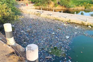 वंदे गंगा अभियान के बीच प्रदूषण से कराह रही नदी