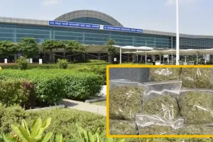 वाराणसी एयरपोर्ट से 6 थाई नागरिक गिरफ्तार : 19 करोड़ का हाइड्रोपोनिक गांजा बरामद, बैंकॉक से आए थे संदिग्ध